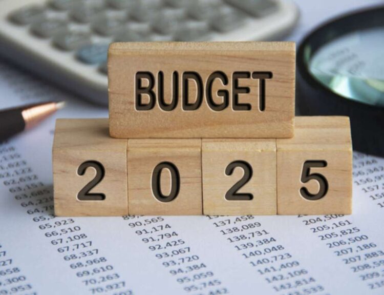 Верховна Рада схвалила Держбюджет 2025 / Фото: mind
