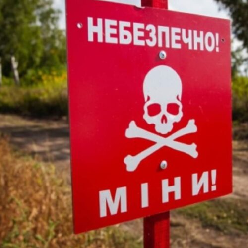 Через війну Україна втратила понад 20% сільгоспземель
