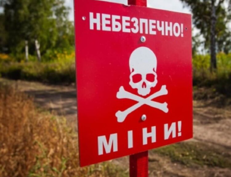 Через війну Україна втратила понад 20% сільгоспземель