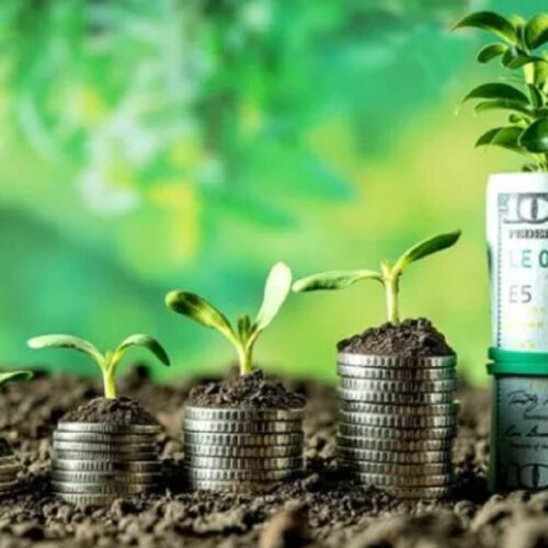 Прибутки агропідприємств України у 2024 році зросли у 2,4 раза