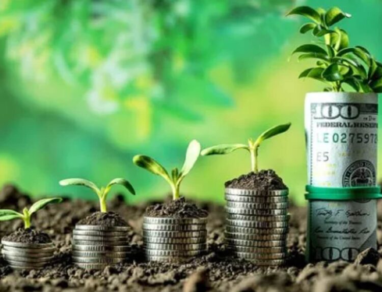 Прибутки агропідприємств України у 2024 році зросли у 2,4 раза