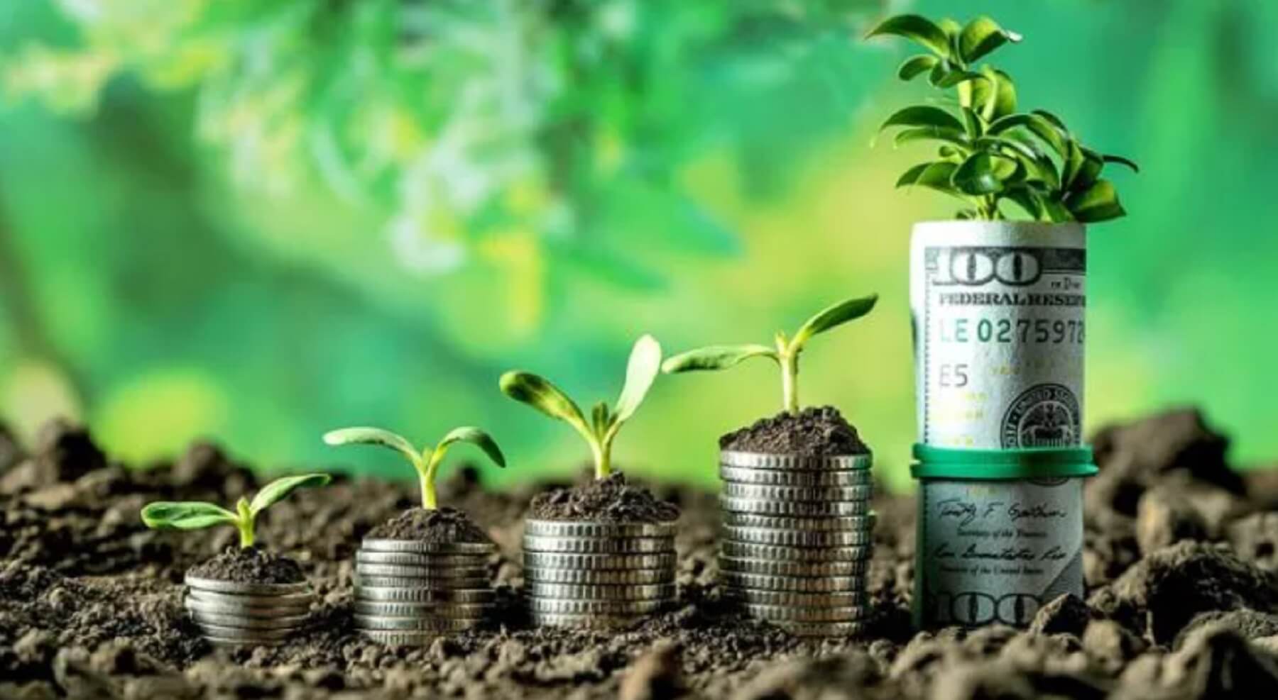 Прибутки агропідприємств України у 2024 році зросли у 2,4 раза